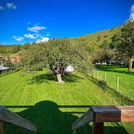 Flore'S Garden Glamping Bran  Esterno foto