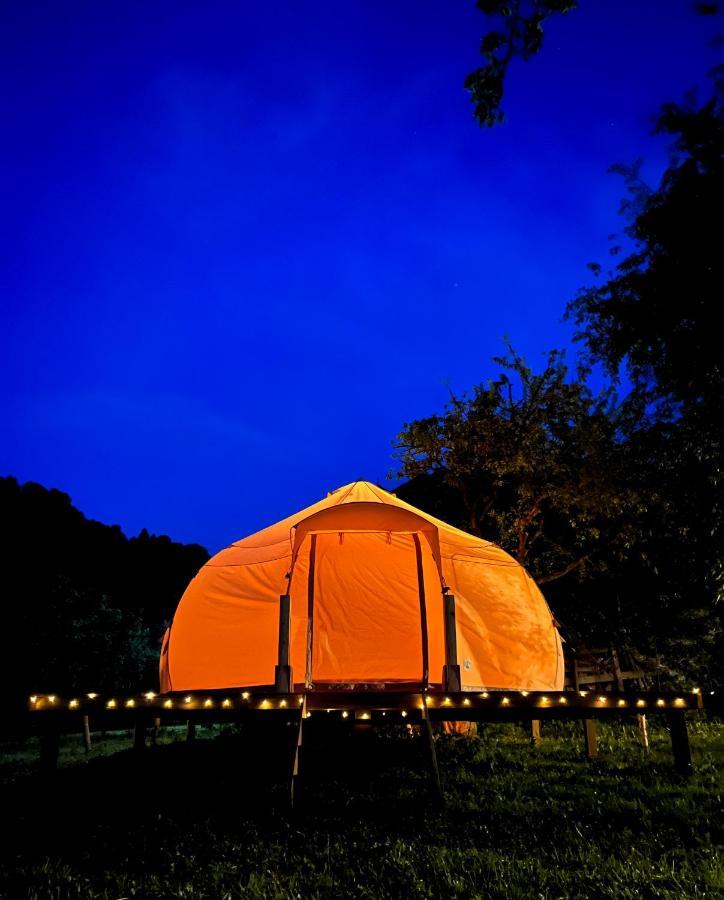 Flore'S Garden Glamping Bran  Esterno foto