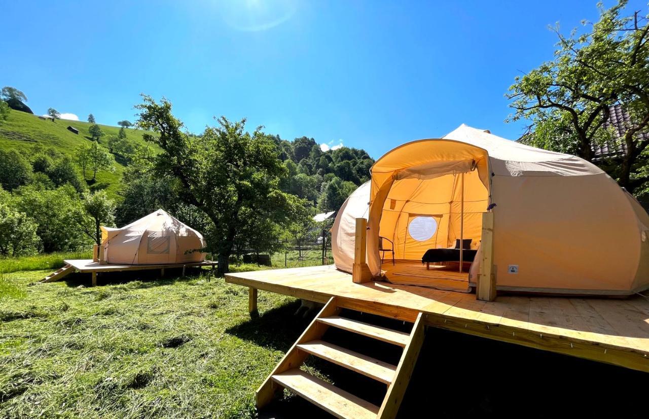 Flore'S Garden Glamping Bran  Esterno foto