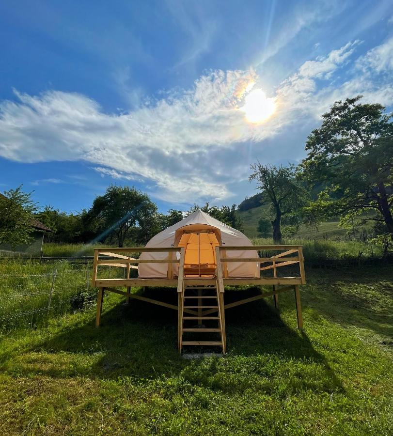 Flore'S Garden Glamping Bran  Esterno foto