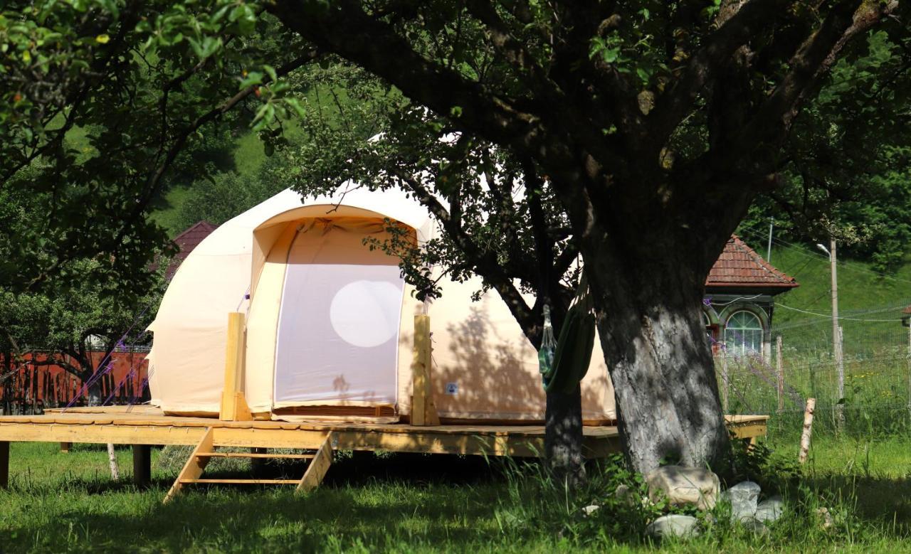 Flore'S Garden Glamping Bran  Esterno foto