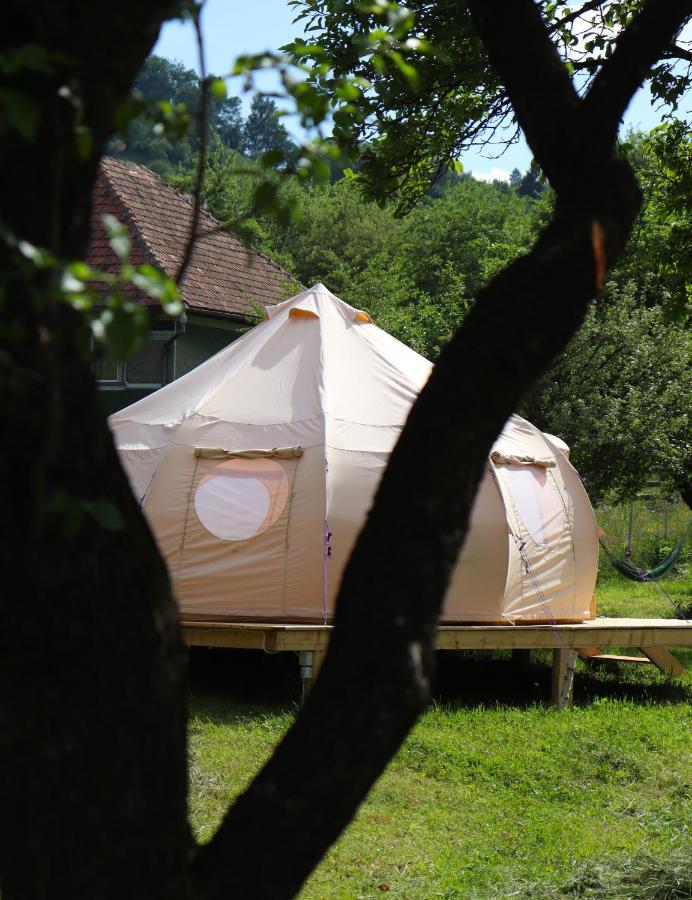 Flore'S Garden Glamping Bran  Esterno foto