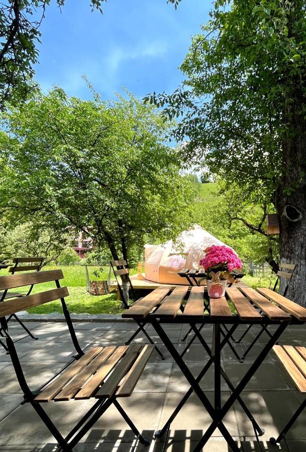 Flore'S Garden Glamping Bran  Esterno foto