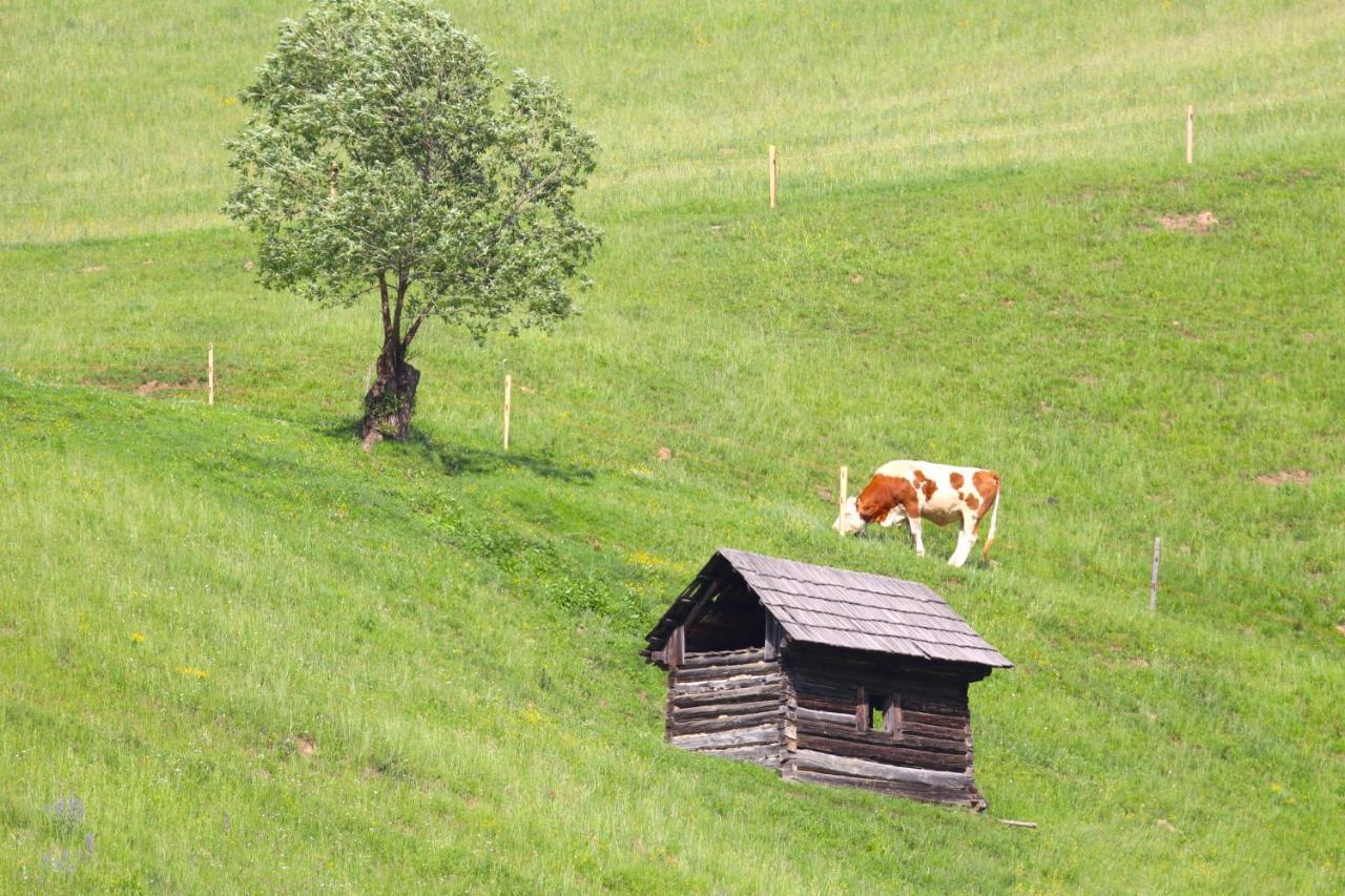 Flore'S Garden Glamping Bran  Esterno foto