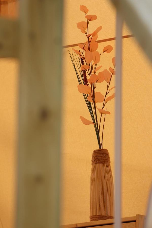 Flore'S Garden Glamping Bran  Esterno foto