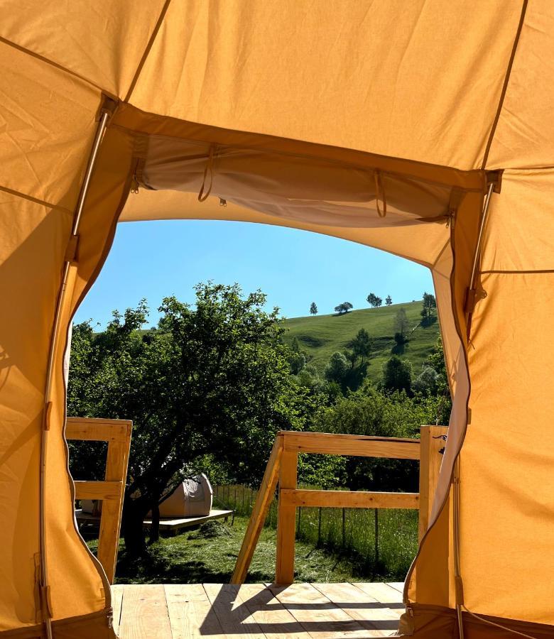 Flore'S Garden Glamping Bran  Esterno foto