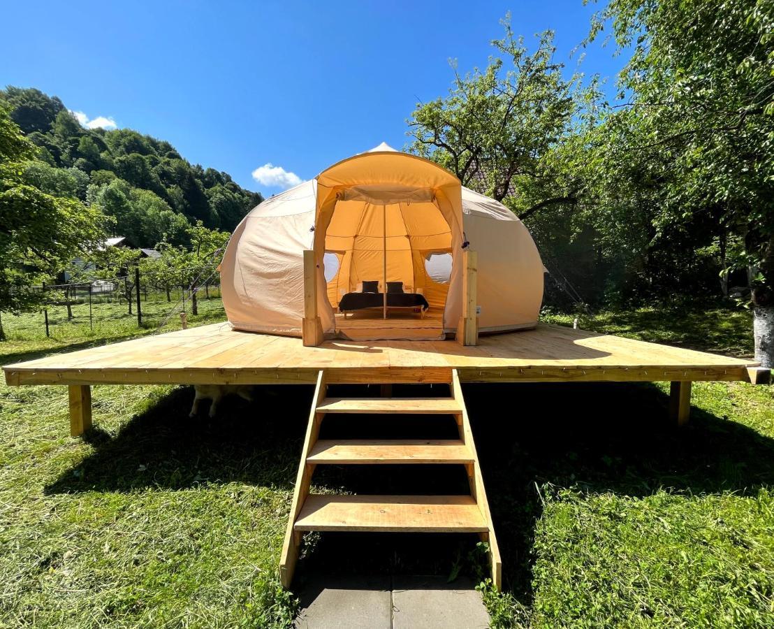 Flore'S Garden Glamping Bran  Esterno foto