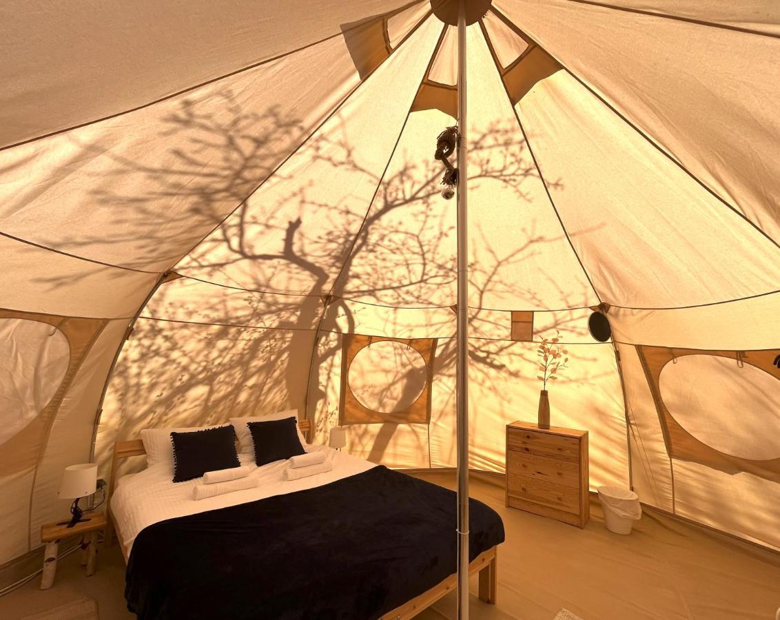 Flore'S Garden Glamping Bran  Esterno foto