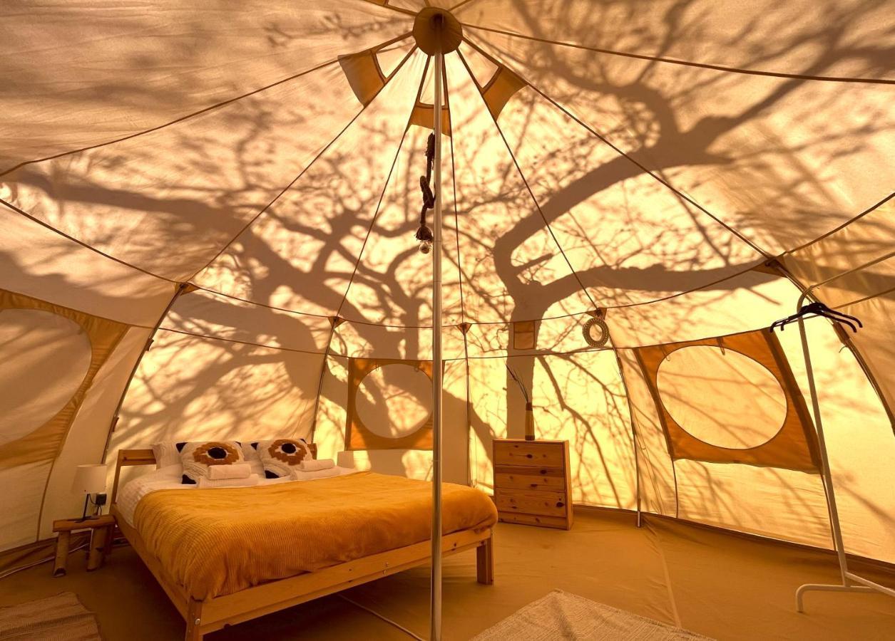 Flore'S Garden Glamping Bran  Esterno foto