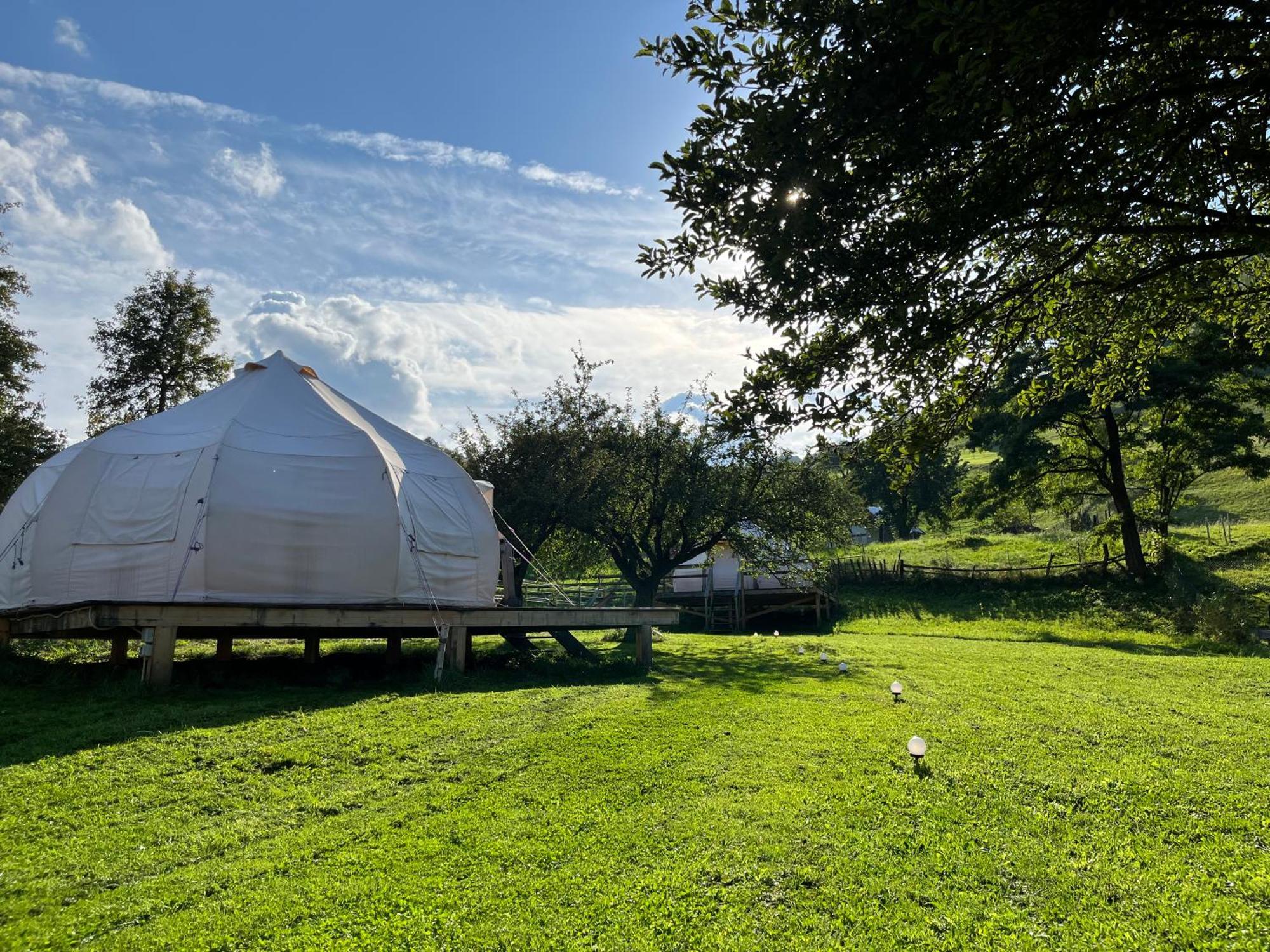 Flore'S Garden Glamping Bran  Esterno foto