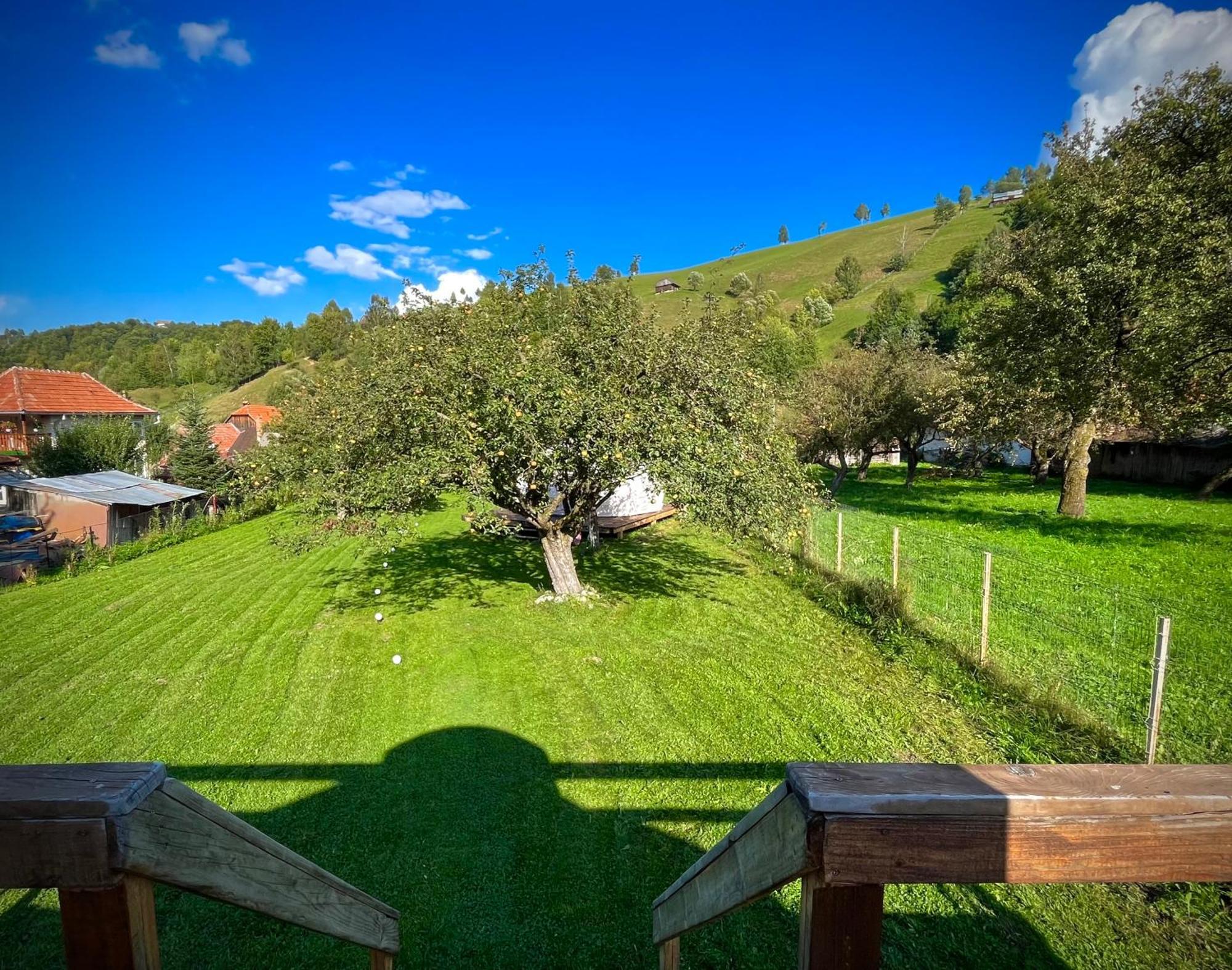Flore'S Garden Glamping Bran  Esterno foto